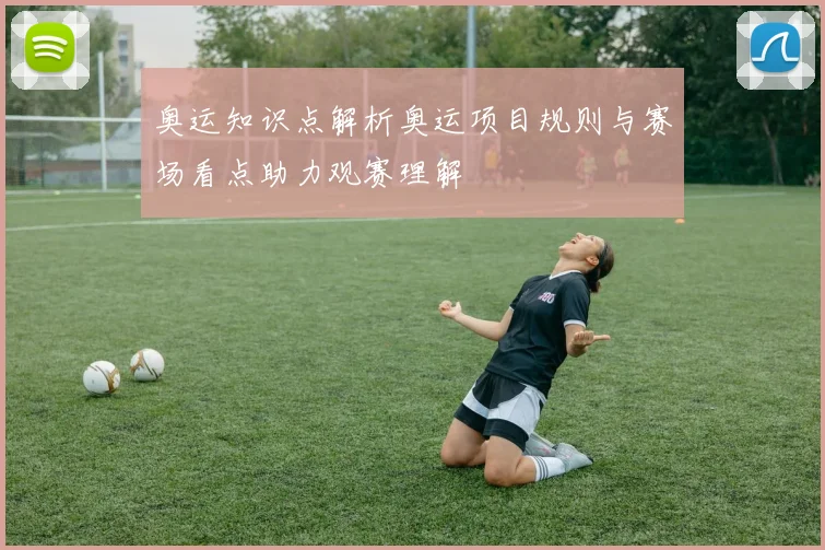 奥运知识点解析奥运项目规则与赛场看点助力观赛理解