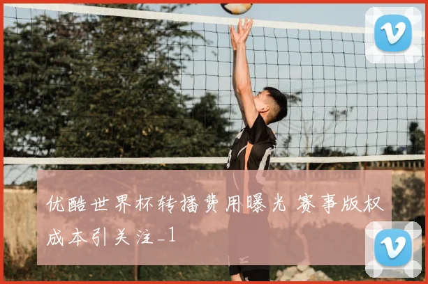 优酷世界杯转播费用曝光 赛事版权成本引关注_1