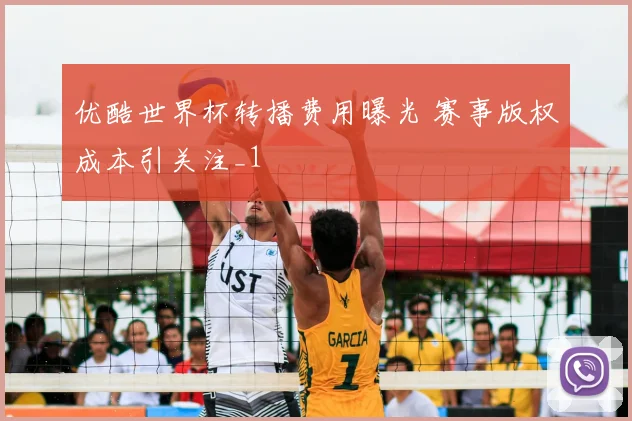 优酷世界杯转播费用曝光 赛事版权成本引关注_1