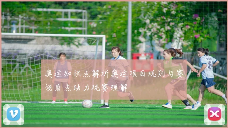 奥运知识点解析奥运项目规则与赛场看点助力观赛理解