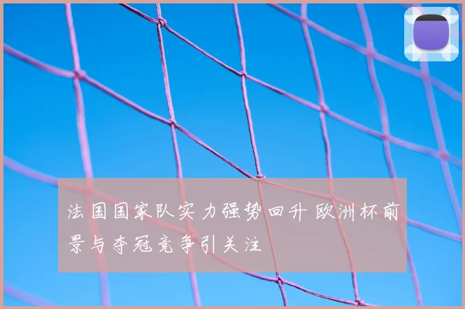 法国国家队实力强势回升 欧洲杯前景与夺冠竞争引关注