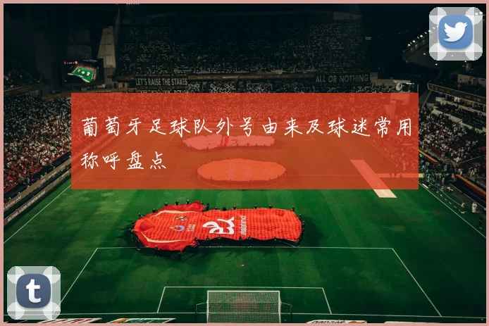 葡萄牙足球队外号由来及球迷常用称呼盘点